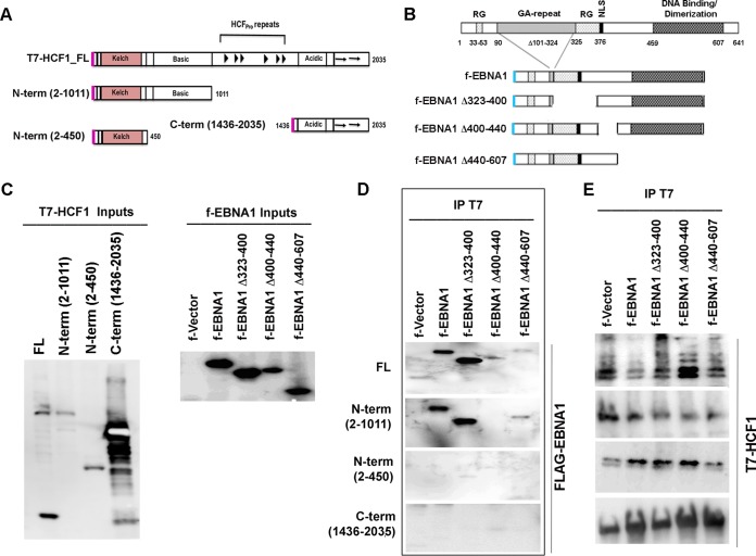 FIG 6