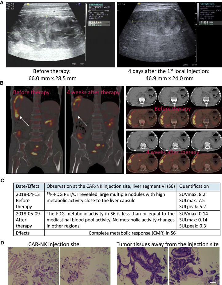 Figure 4