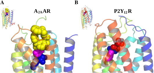 Fig. 1