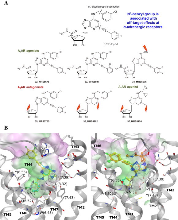 Fig. 4