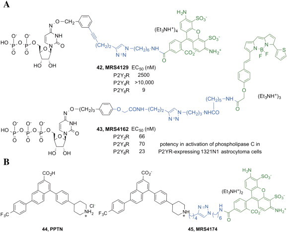 Fig. 7