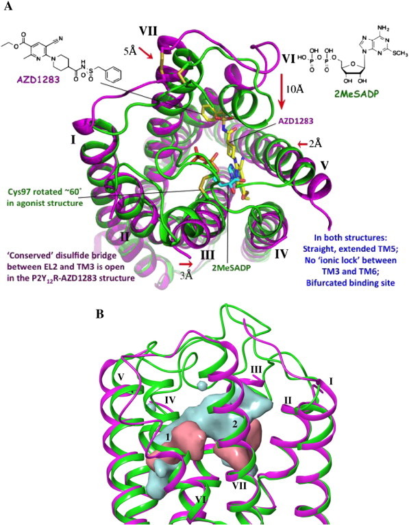 Fig. 3