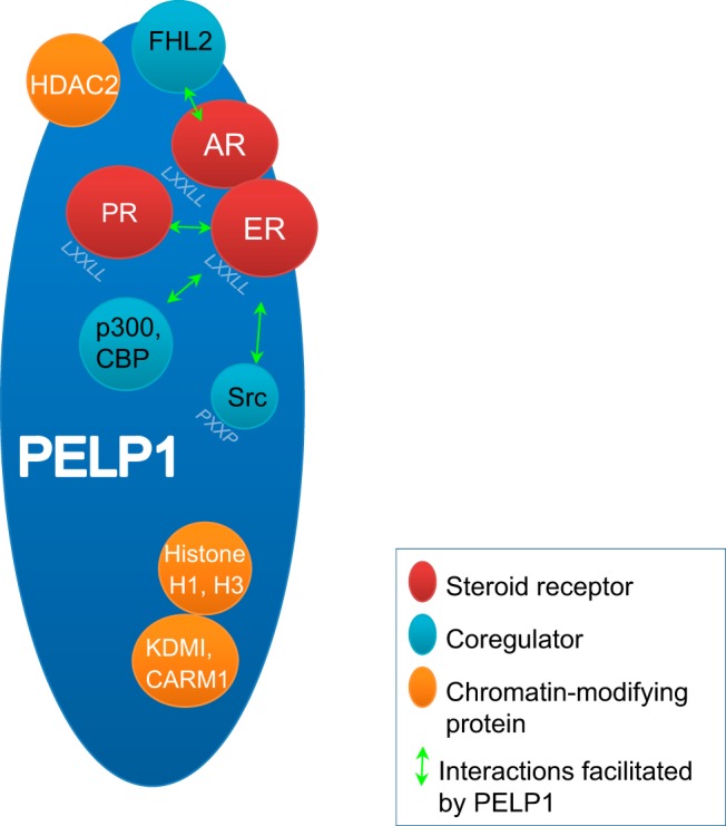 Figure 2.