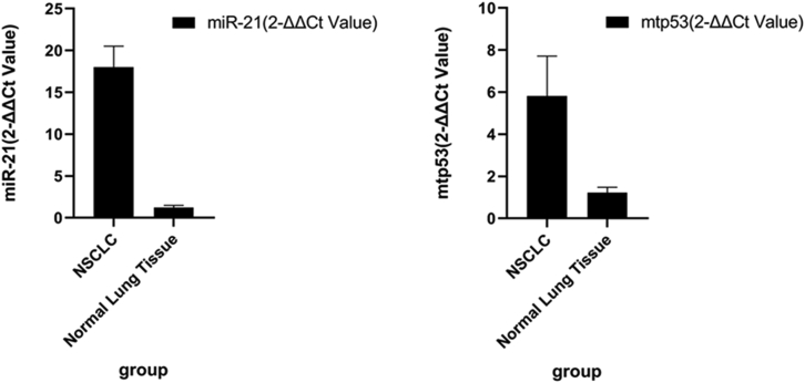 Figure 1