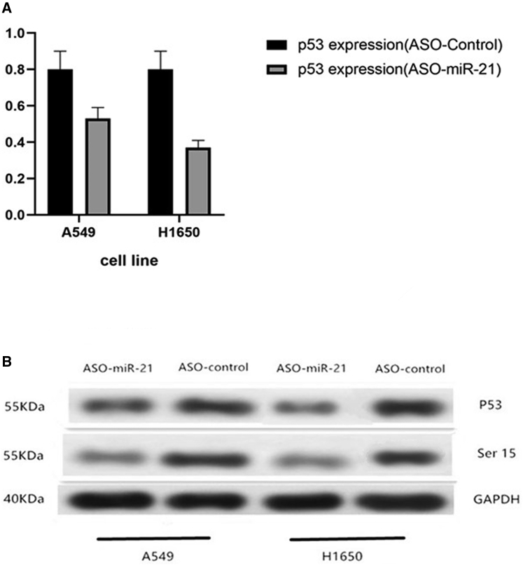 Figure 5