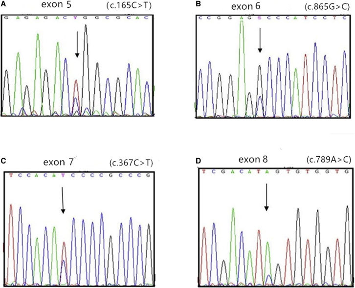 Figure 3