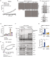 Figure EV3