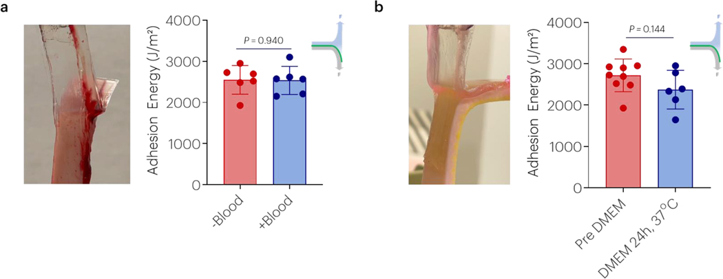 Figure 2 |