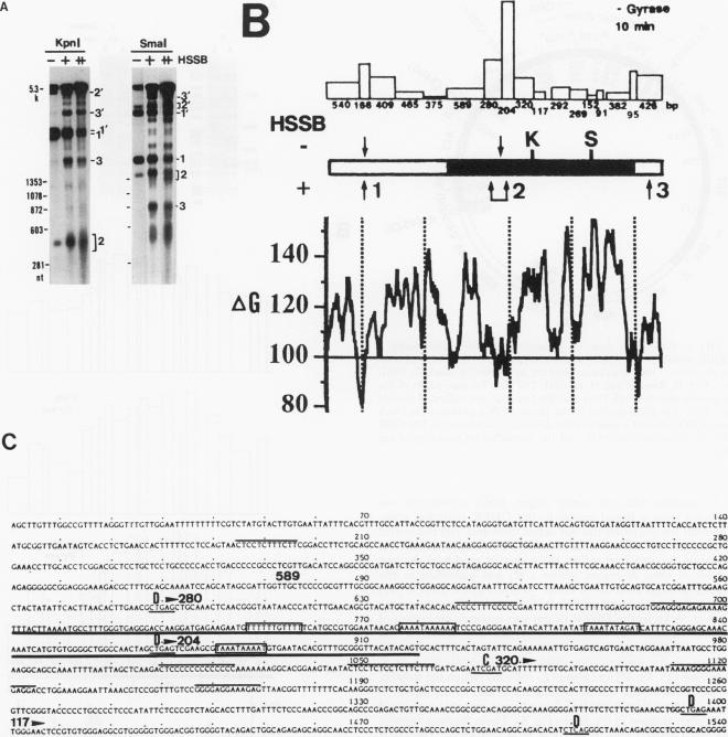 graphic file with name molcellb00010-0097-a.jpg