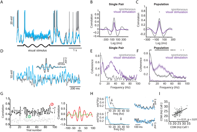 Figure 5: