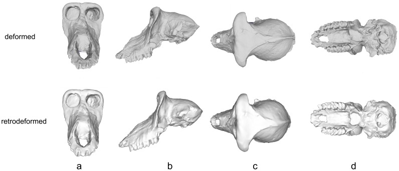 Figure 14