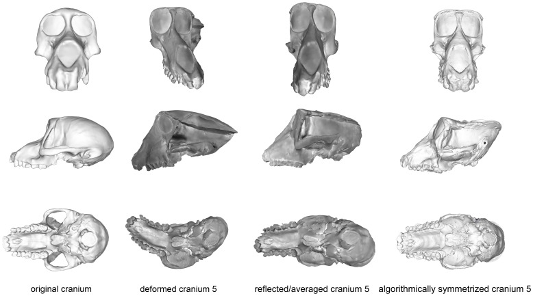 Figure 11