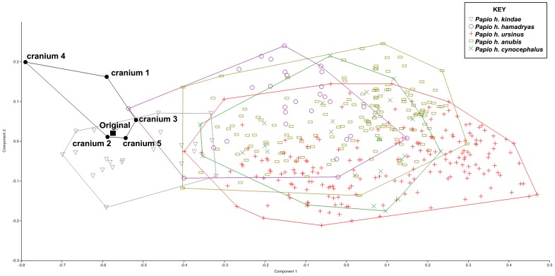 Figure 13