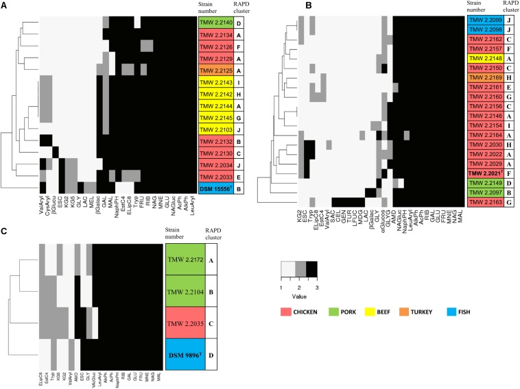 FIGURE 4