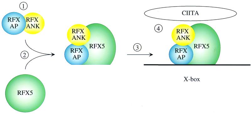 FIG. 6