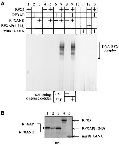 FIG. 5