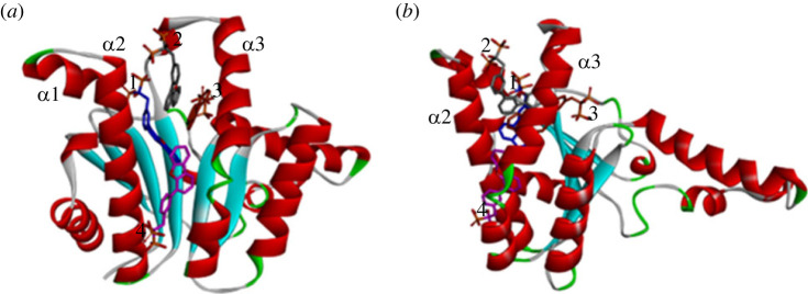 Figure 4. 