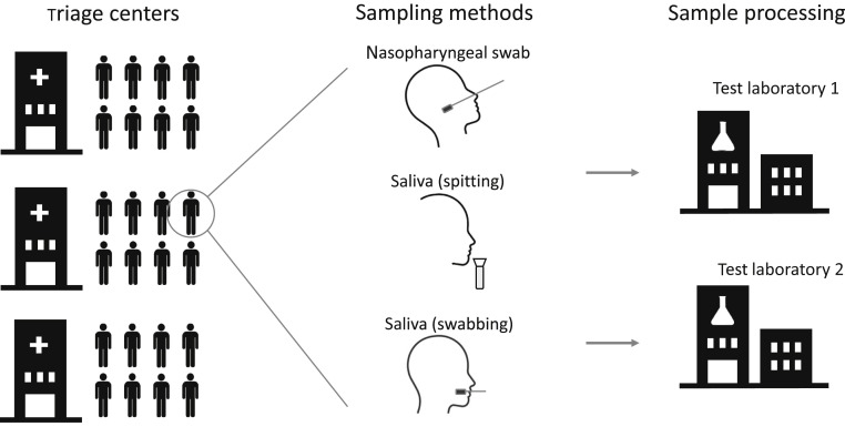 Figure 1