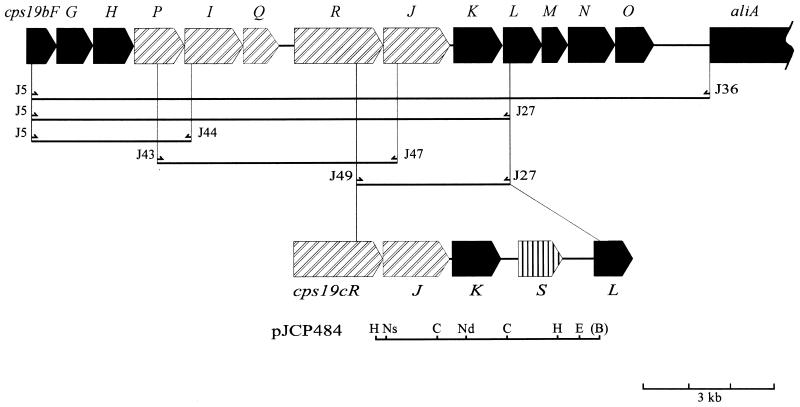 FIG. 5