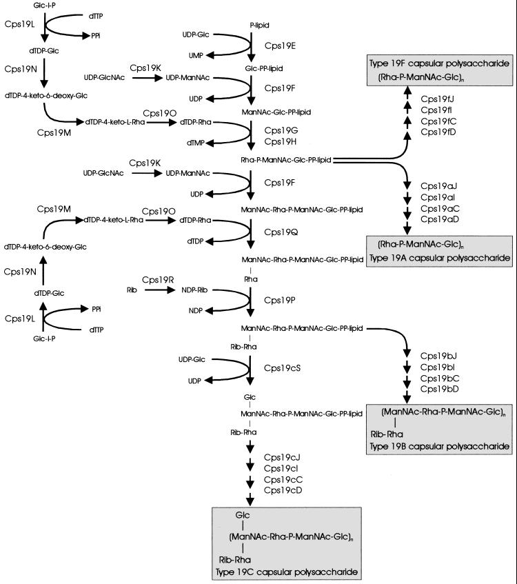 FIG. 7