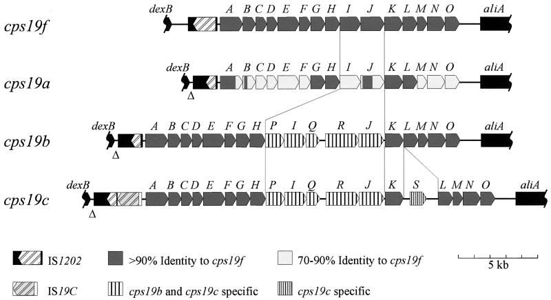 FIG. 6