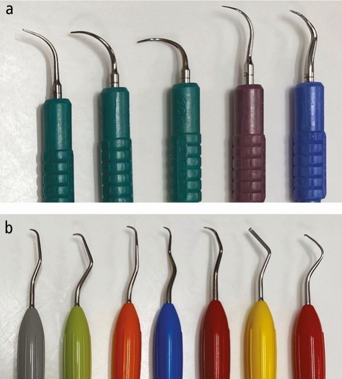 Fig. 1