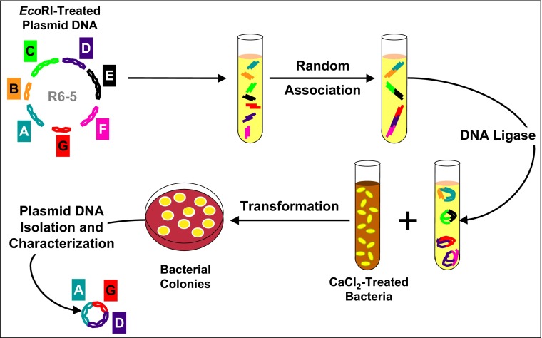 Fig. 2.