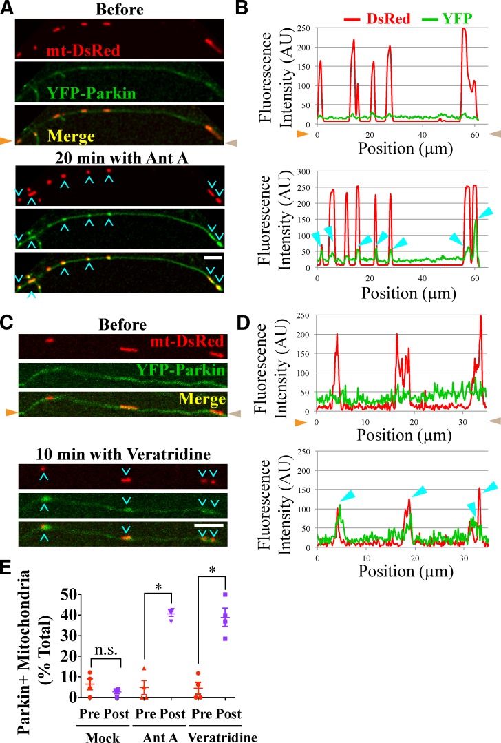 Figure 6.