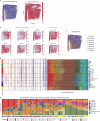 Extended Data Fig. 12