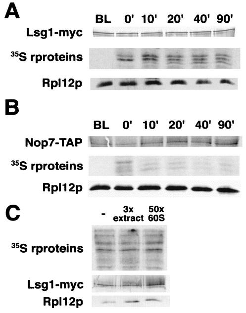 FIG. 8.