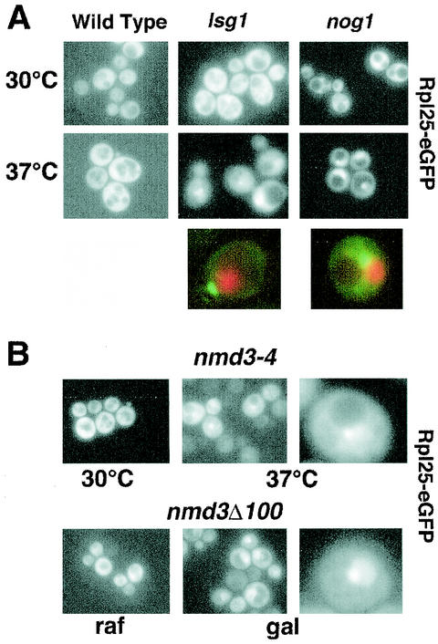 FIG. 9.