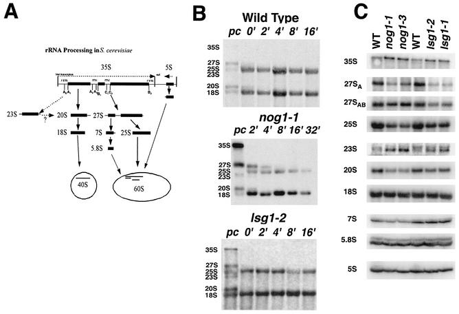 FIG. 5.