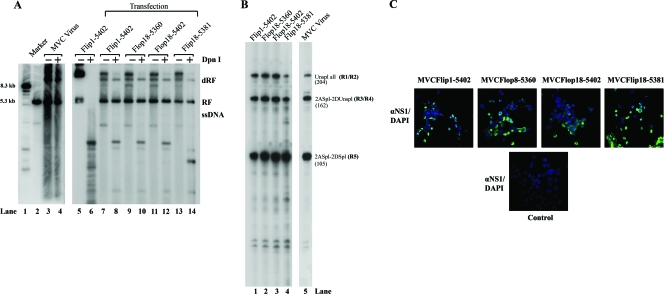 FIG. 2.