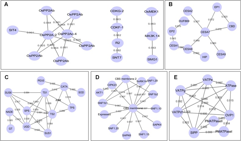 FIGURE 4