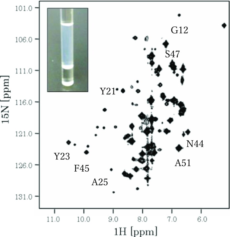 Fig. 2