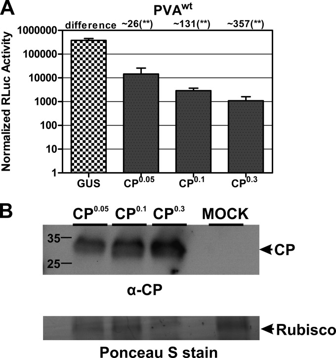 FIG 2