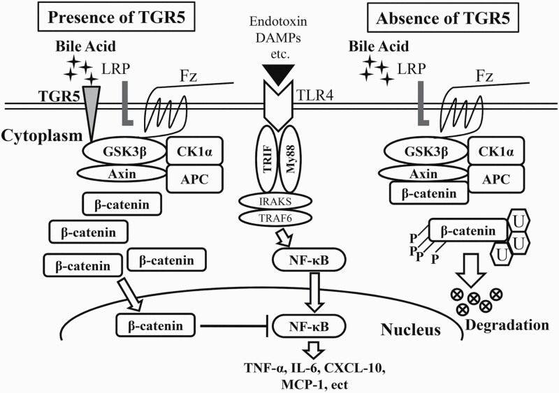 Fig. 8.