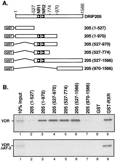 FIG. 1