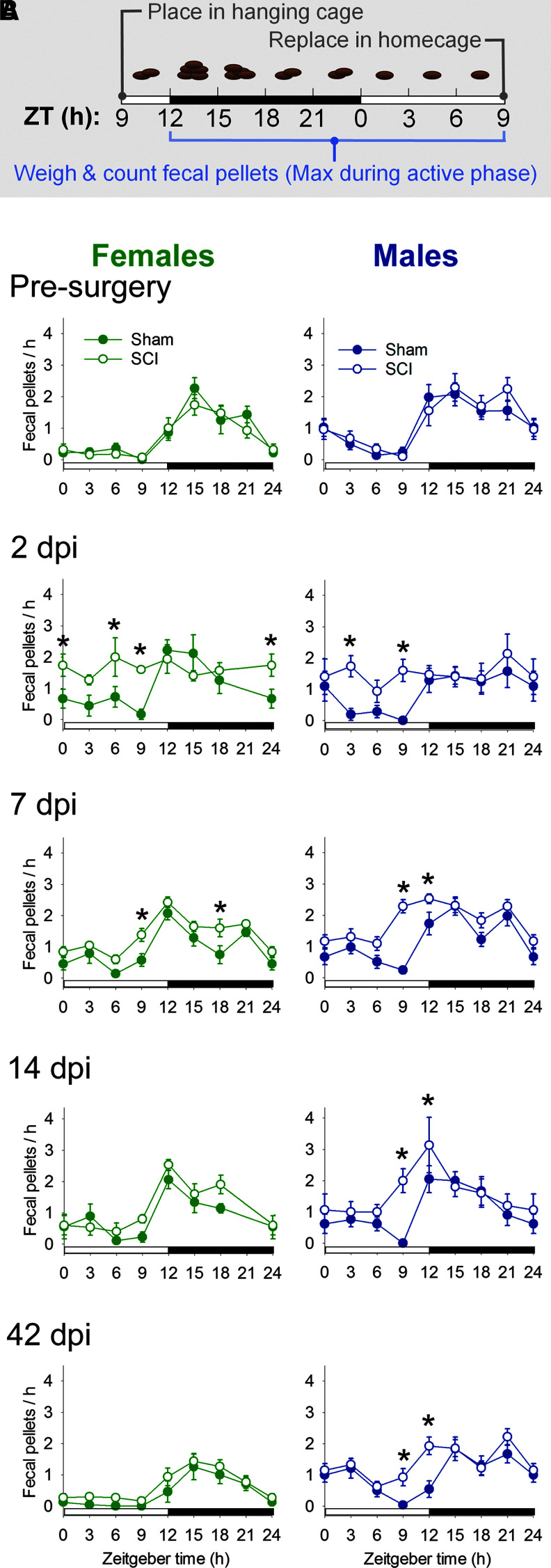 
FIG. 1.
