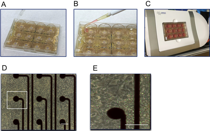 Figure 2.