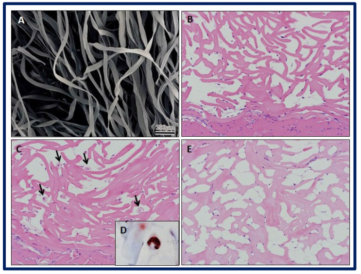 Figure 24