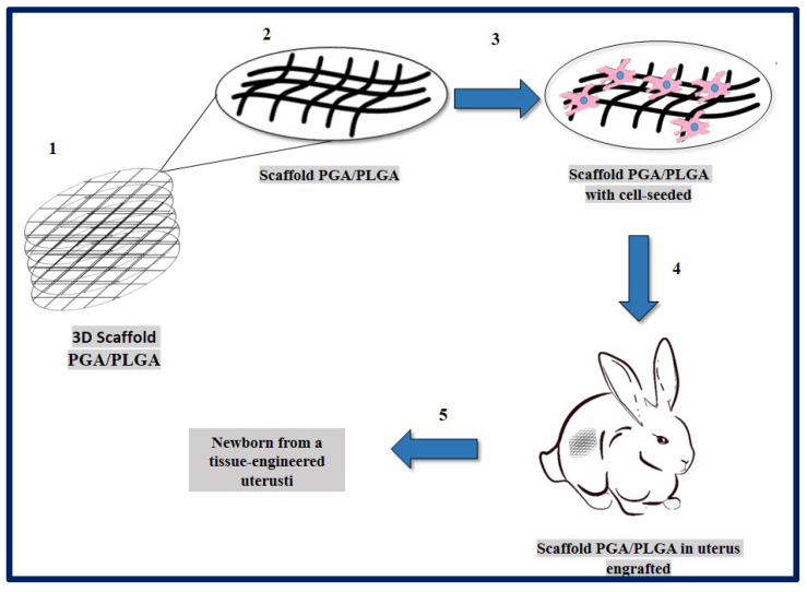 Figure 19