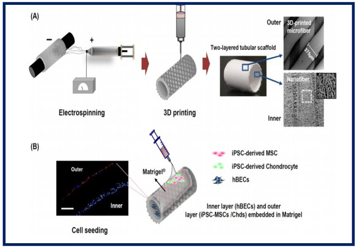 Figure 22