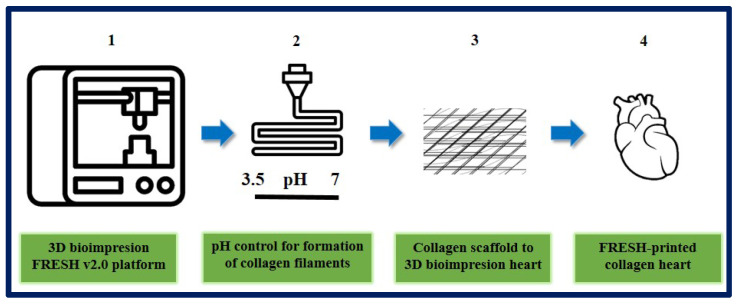 Figure 21