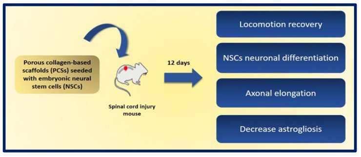 Figure 23