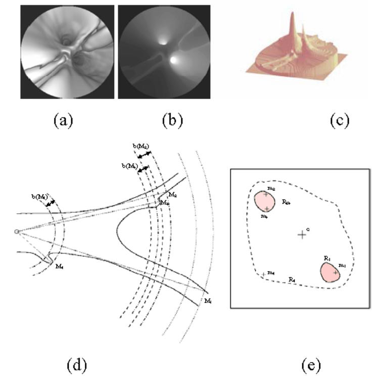 Fig 2