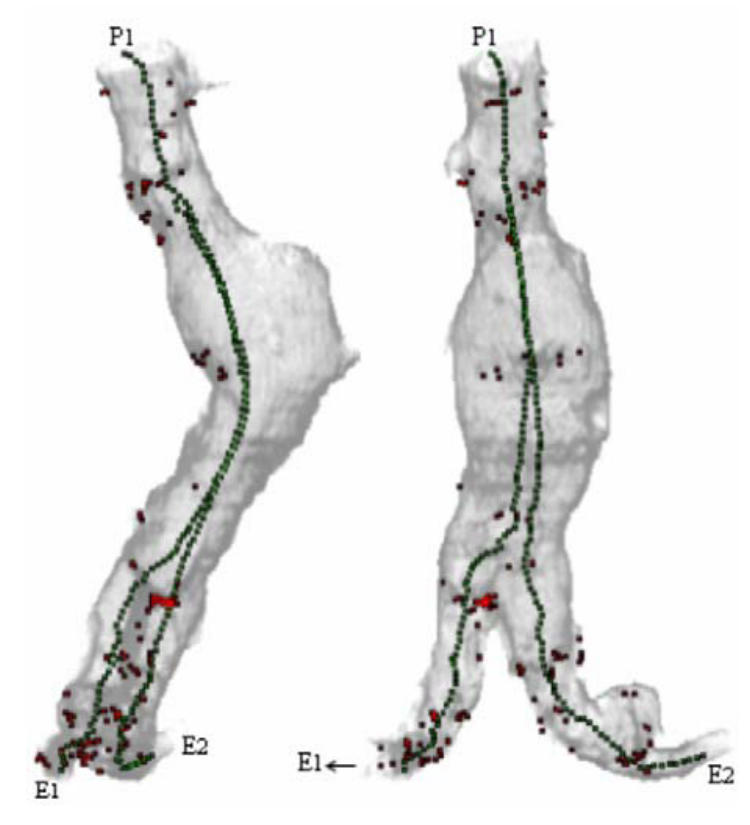 Fig. 10