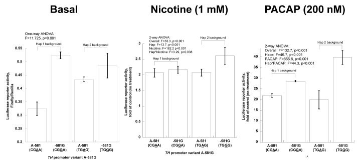 Figure 2E