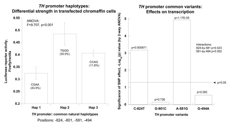 Figure 2A