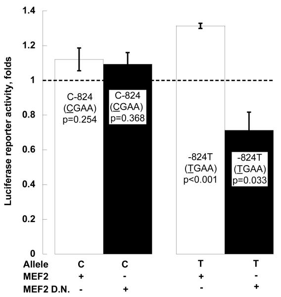 Figure 3C